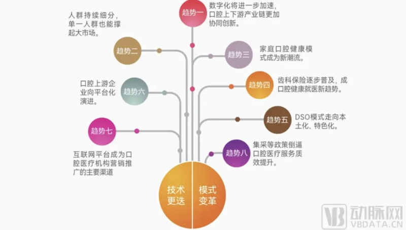 数字化口腔管理